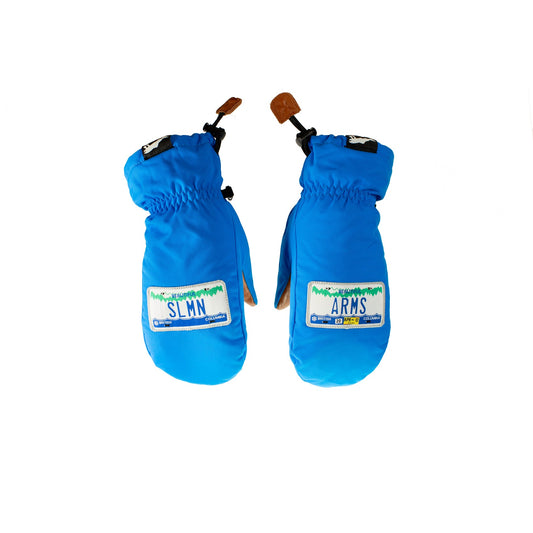 Salmon Arms Plates Blue Classic Mitt