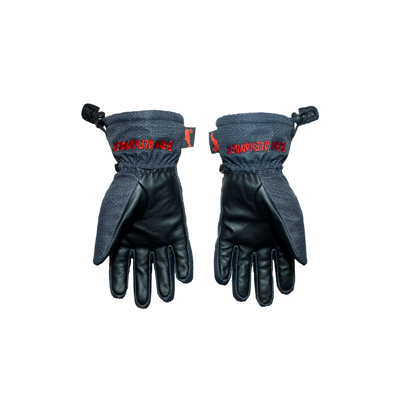 Salmon Arms Brin Alexander Snowboarding Glove 2025