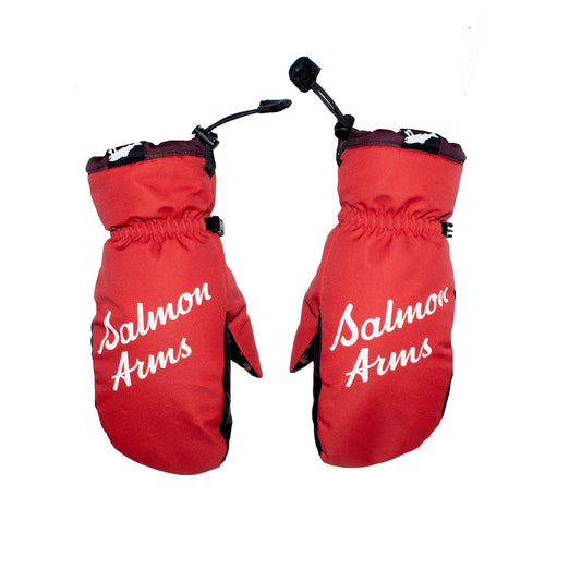 Salmon Arms Nortons Team Mitt