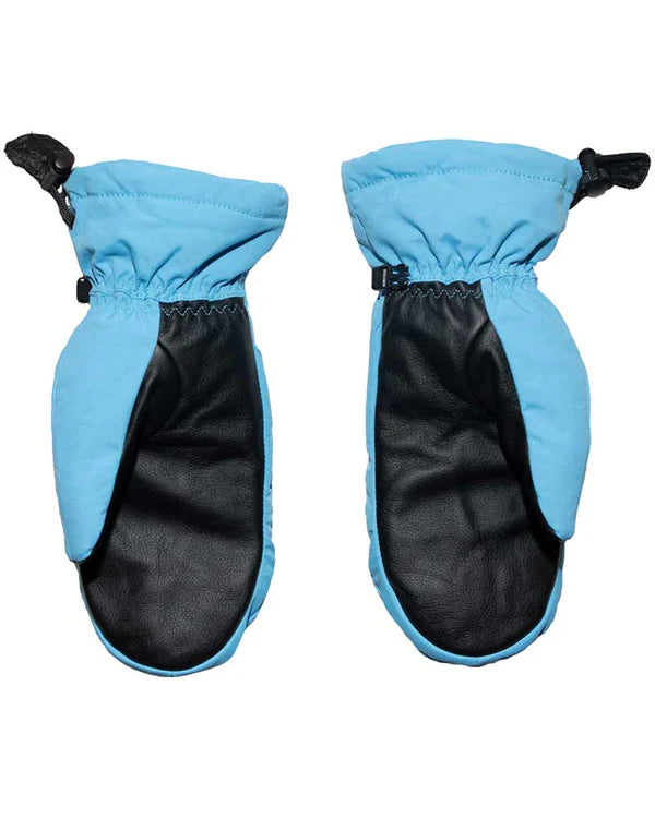 Salmon Arms Classic Baby Blue Rainbow Snowboard Mittens 2025