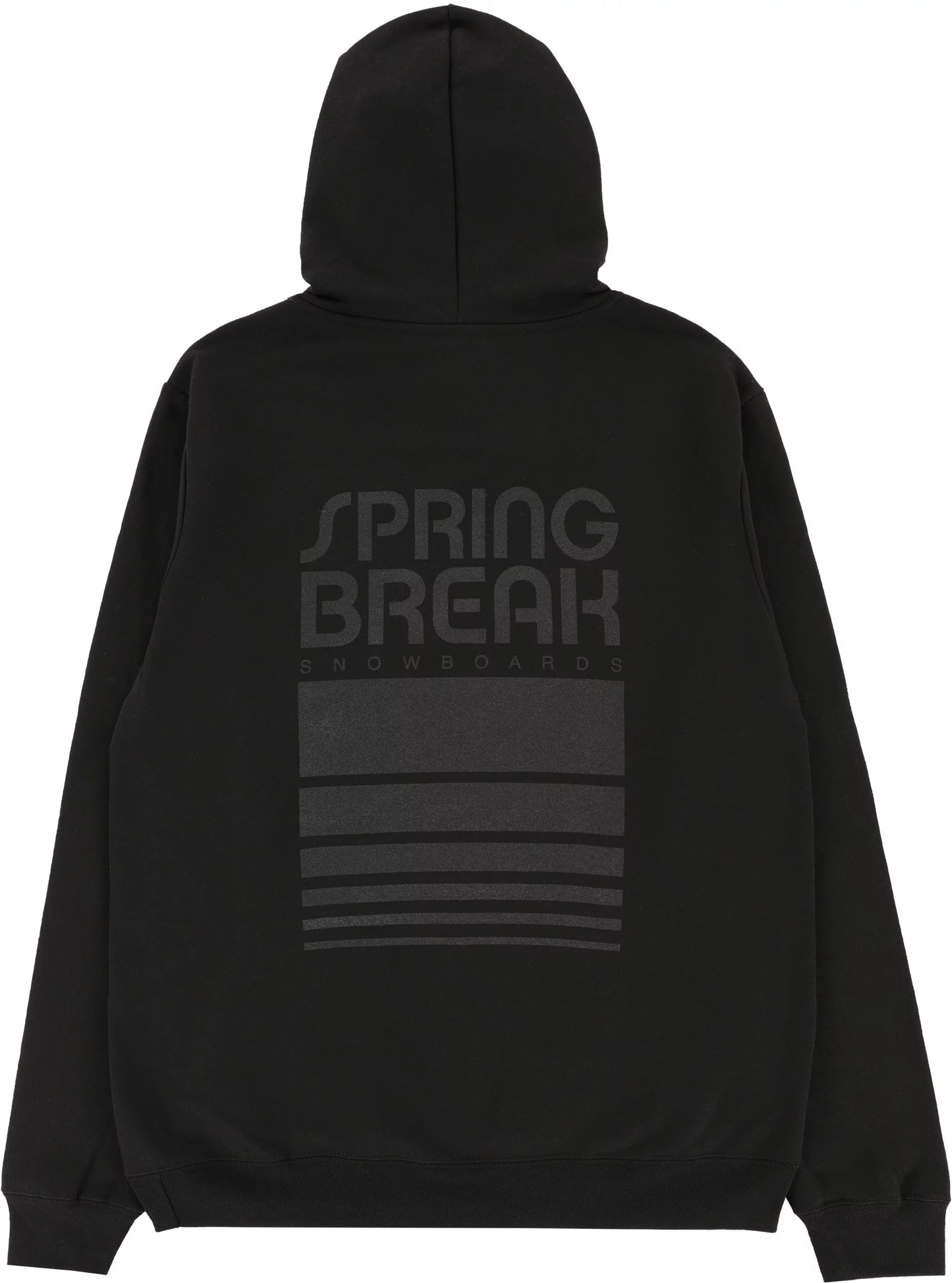 Capita Spring Break Block Hoodie