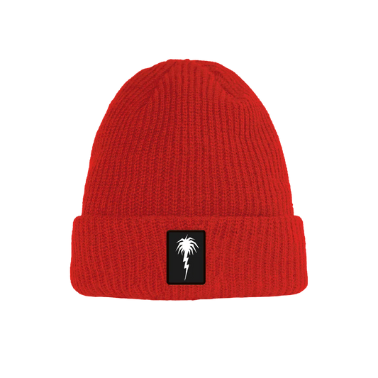 Capita SB Palm Beanie