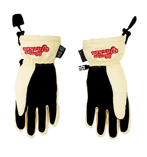 Salmon Arms Partyy McFly Snowboard Glove