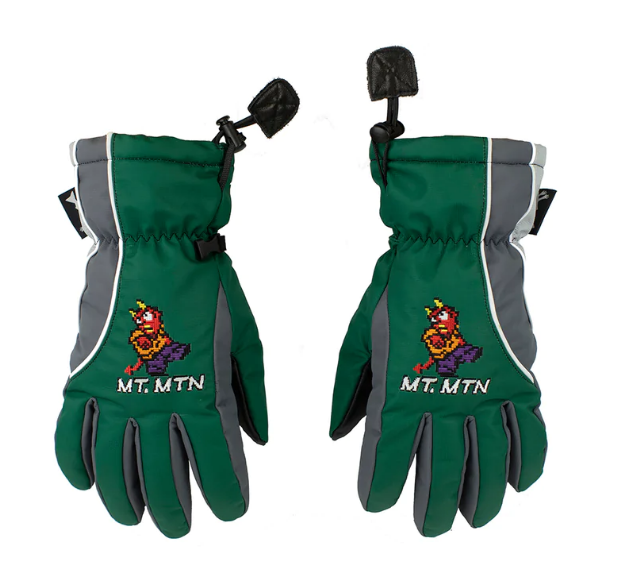 Salmon Arms Mt. Mtn Snowboard Gloves 2023