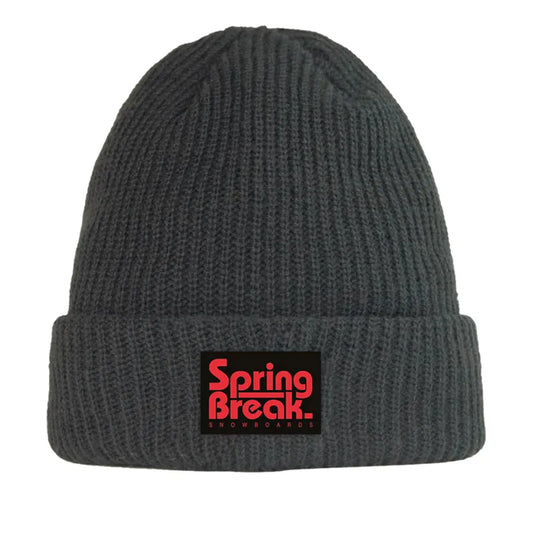Capita Spring Break Beanie Charcoal