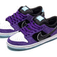 Nike SB Dunk Low Pro x Hayley Wilson Black and Court Purple