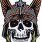 Powell Peralta Lapel Pin Andy Anderson Skull
