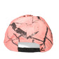 Public Collegiate cap