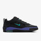 Nike Air Max Ishod Black/ Dusty Cactus Men's Skateboarding Shoe