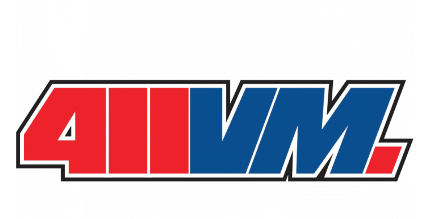 411VM LOGO PIN