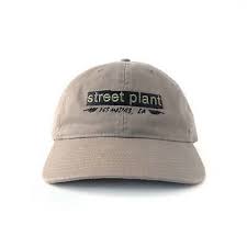 Street Plant Des Moines IA Hat