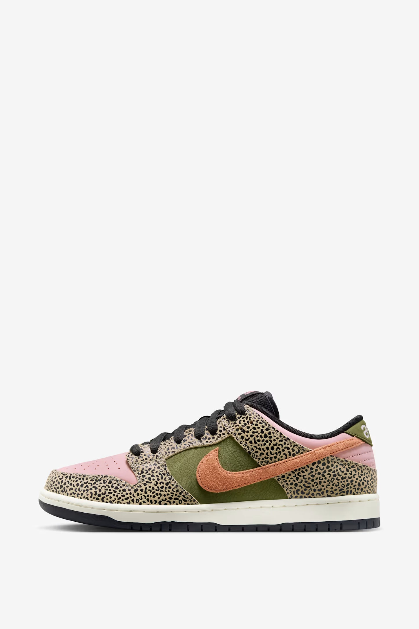 Nike SB Dunk Low 'Arts and Rec' shoe